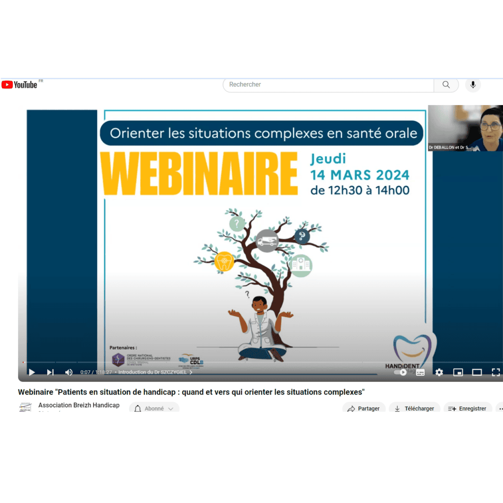 capture écran Webinaire Handident Replay